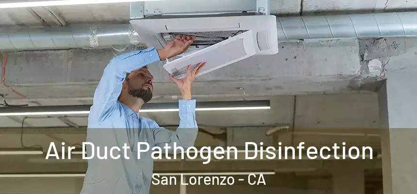Air Duct Pathogen Disinfection San Lorenzo - CA