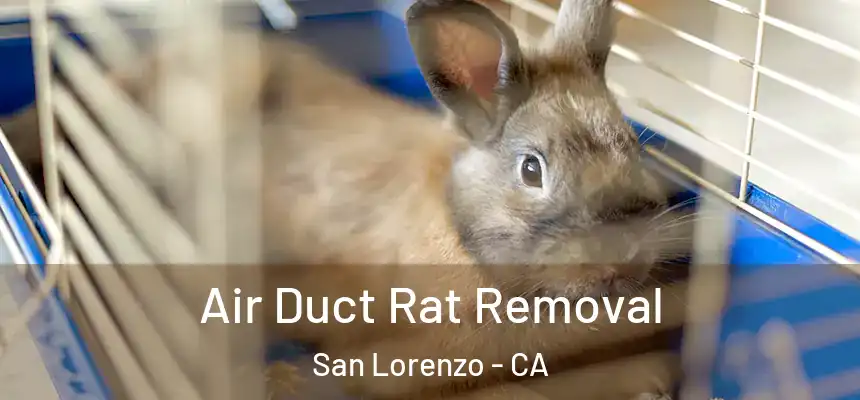 Air Duct Rat Removal San Lorenzo - CA