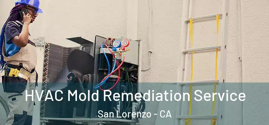 HVAC Mold Remediation Service San Lorenzo - CA