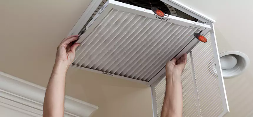 Our Insect Removal from Air Ducts Services in San Lorenzo, CA
