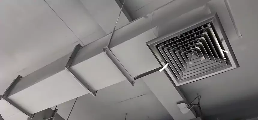 Our Pest Removal From Ducts Services in San Lorenzo, CA