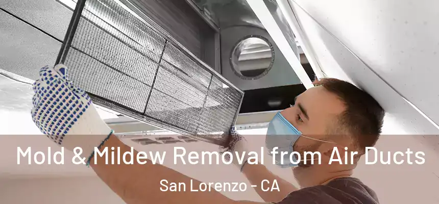  Mold & Mildew Removal from Air Ducts San Lorenzo - CA