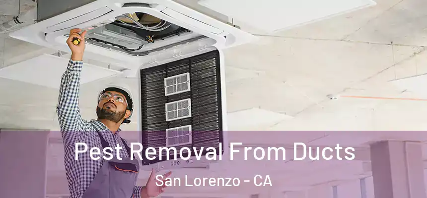  Pest Removal From Ducts San Lorenzo - CA