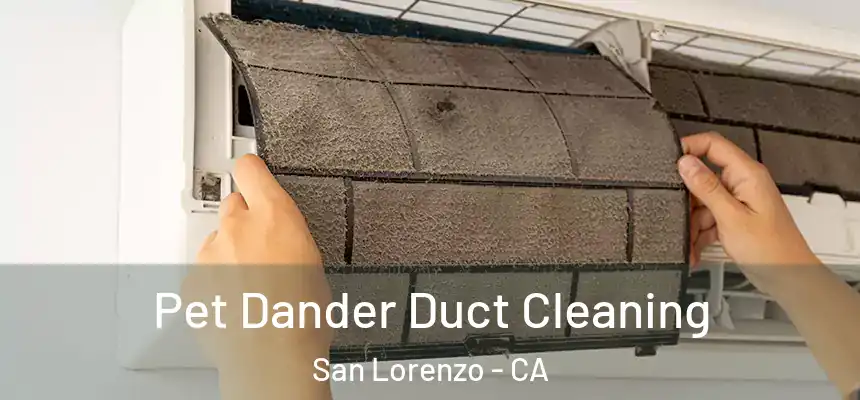 Pet Dander Duct Cleaning San Lorenzo - CA