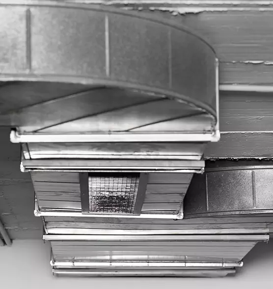 Professional Air Duct Pest Removal in San Lorenzo, CA