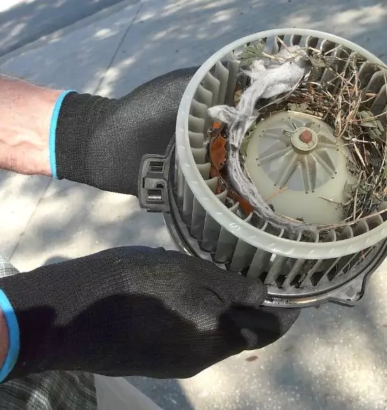 About Air Duct Rat Removal in San Lorenzo, CA