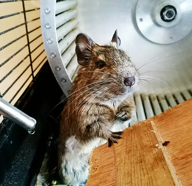 Why Homeowners & Businesses Trust Us San Lorenzo, CA