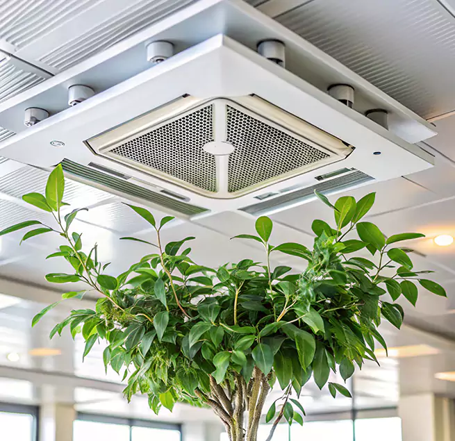 Why Homeowners & Businesses Trust Us in San Lorenzo, CA?